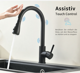 AquaFlex SmartTouch Faucet