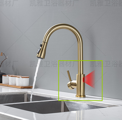 AquaFlex SmartTouch Faucet