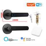 SecureTouch ProLock: Biometric Fingerprint Smart Door Handle