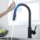 AquaFlex SmartTouch Faucet