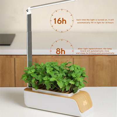 BotaniTech SmartBloom: Self-Watering Flower Pot with LED Grow Lights